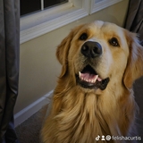 Entry image for Sully