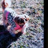 Entry image for Miss Coochie Coo