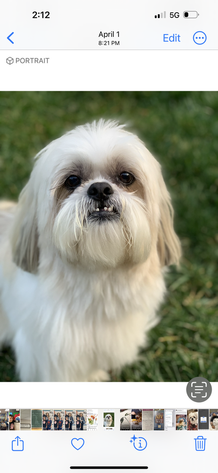 Entry image for Benson. Clicking this image will show a larger photo
