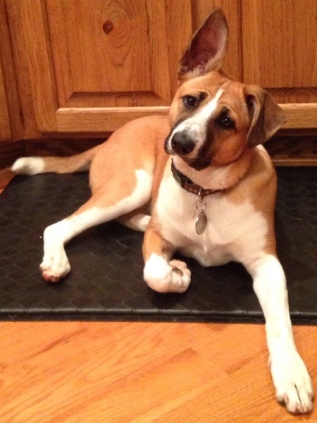 Entry image for Skyler . Clicking this image will show a larger photo