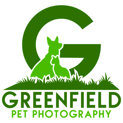 https://greenfieldpetphotography.com/