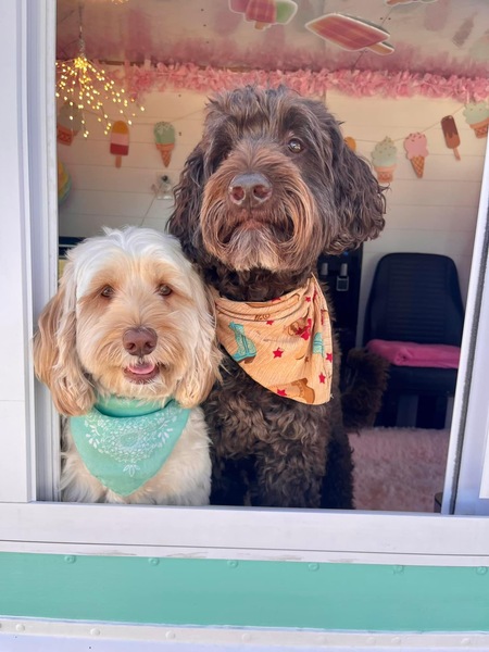 Buddy & Tybee