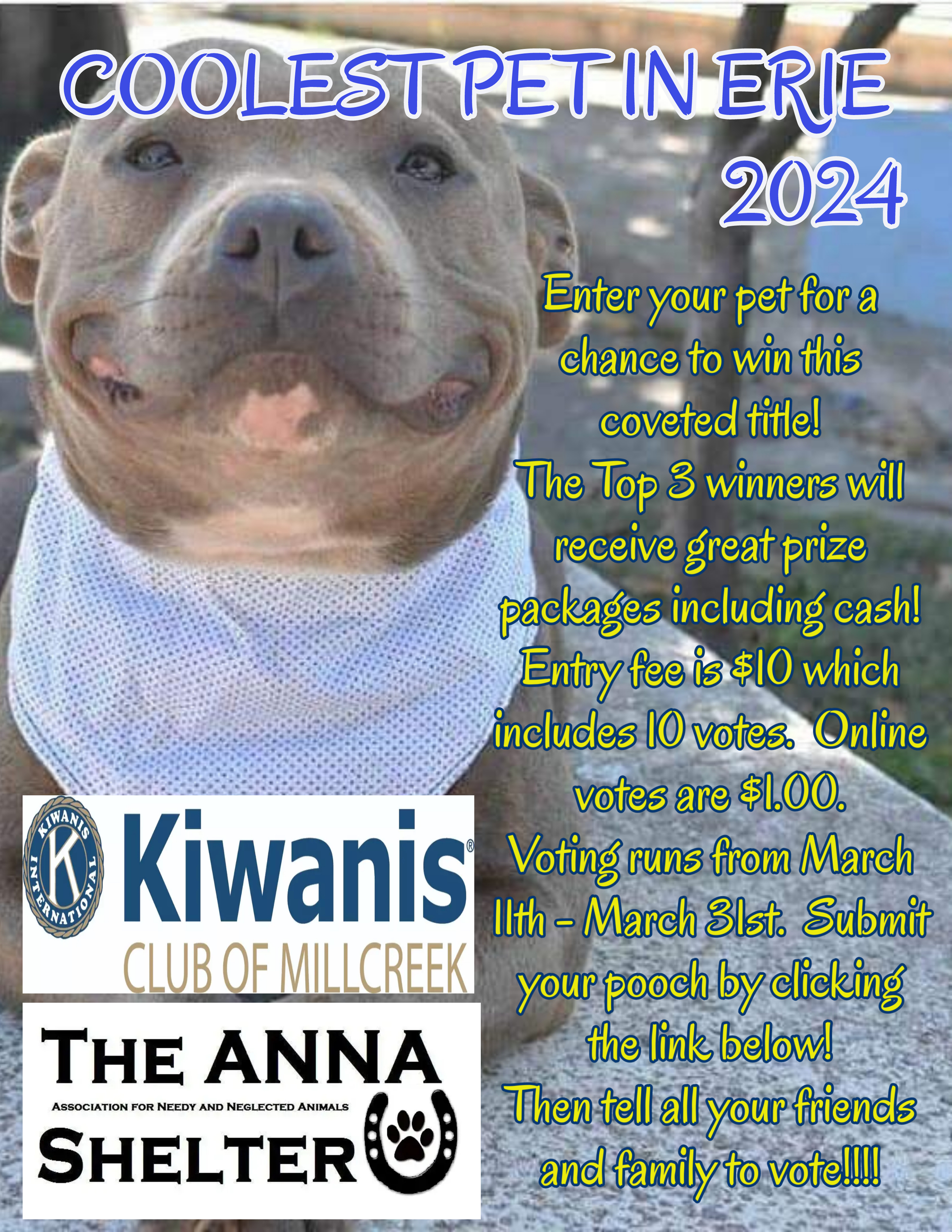Banner for Coolest Pet of Erie County