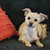 Entry image for Ellie Mae