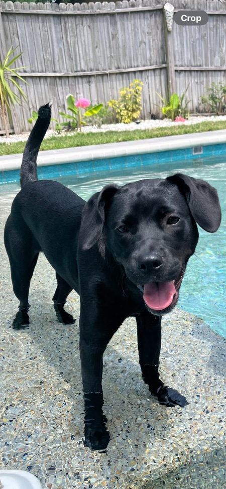 Maggie Mae