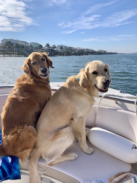 Charlie & Maverick 