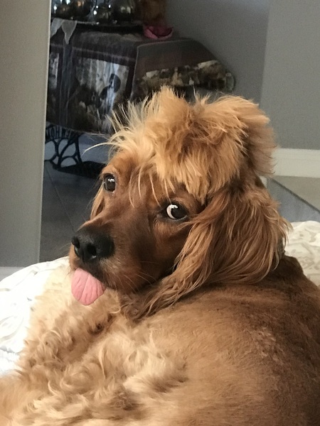 Charlie