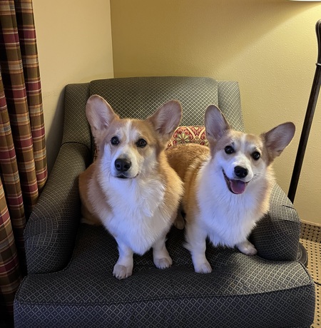 Paxton and Mabel