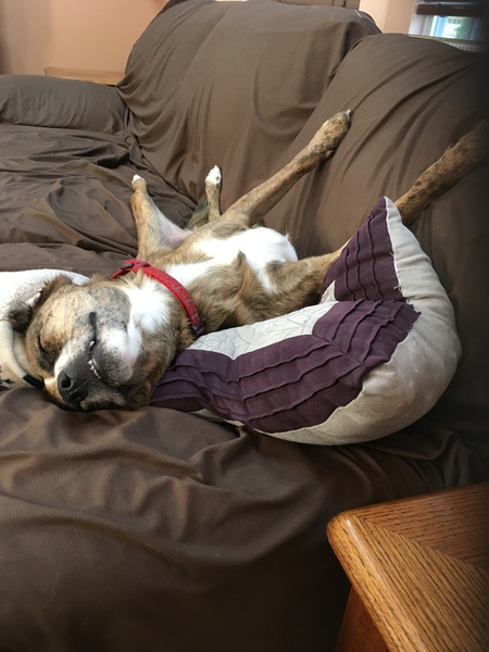 Cooper