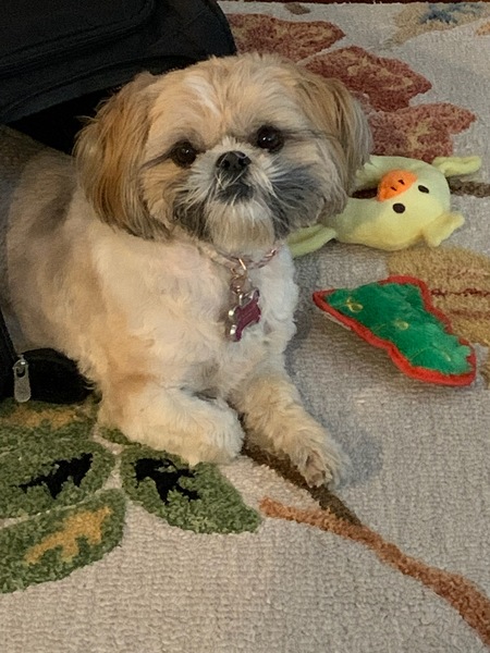 Meisha Moo Denny