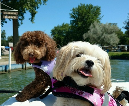 Stella and Cocoa Young