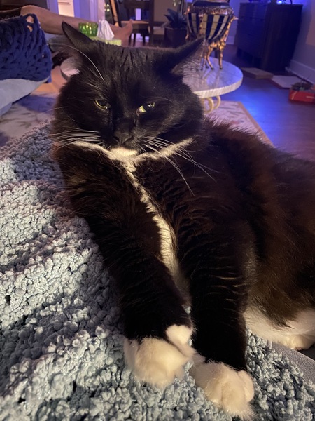 Jasper