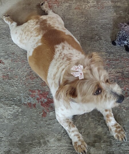 Bridie 