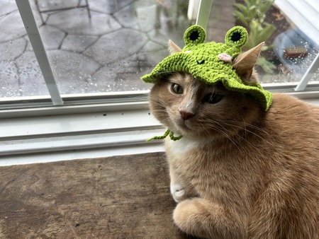Lulu
