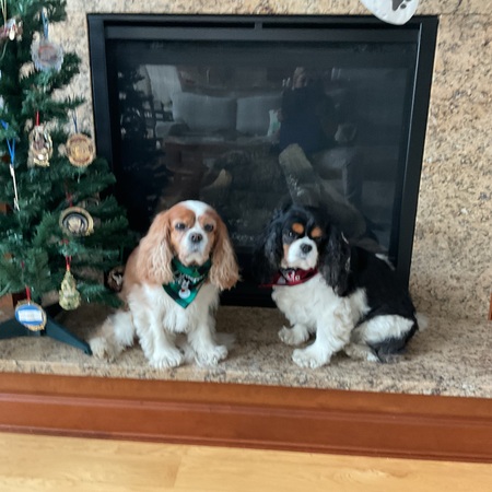 Daisy and Hailey