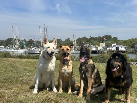 Reagan, Abigail, Quincy, Carter