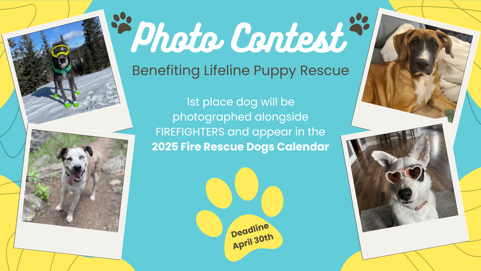 Lifeline Puppy Rescue & Fire Rescue Dogs Calendar | Lifeline Puppy ...