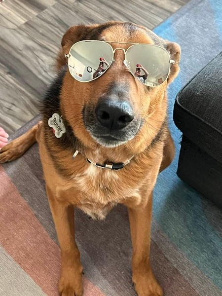 Gunner 