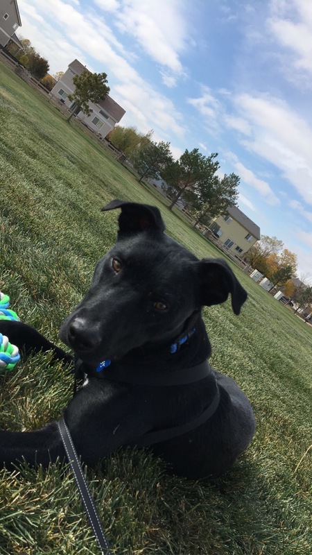Koby 
