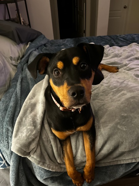 Ruby
