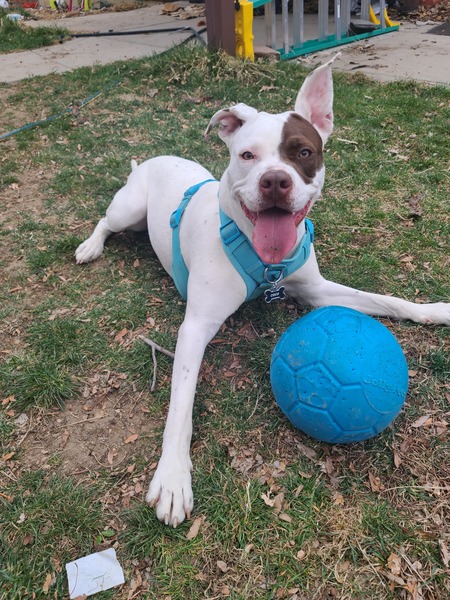 Coco
