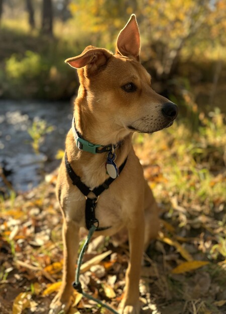 Pluto