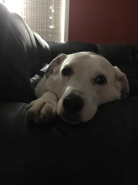 Delilah