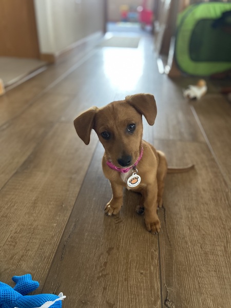 Sophie 