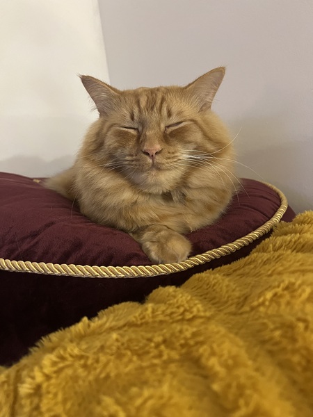 Loki
