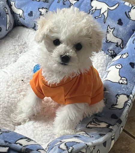 Charlie