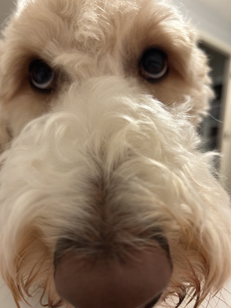 Winnie