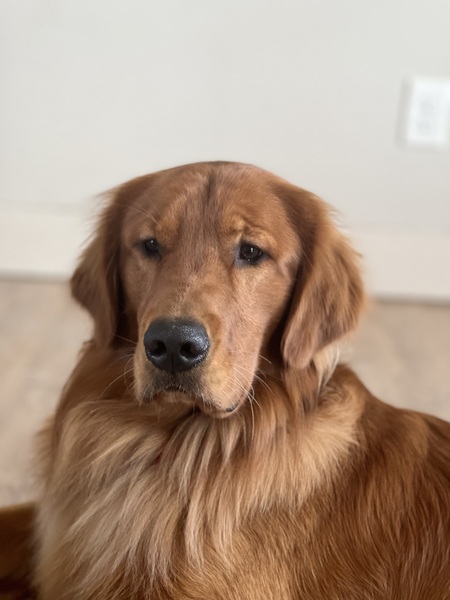 Murphy