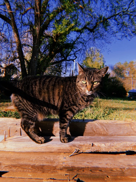 Tucker