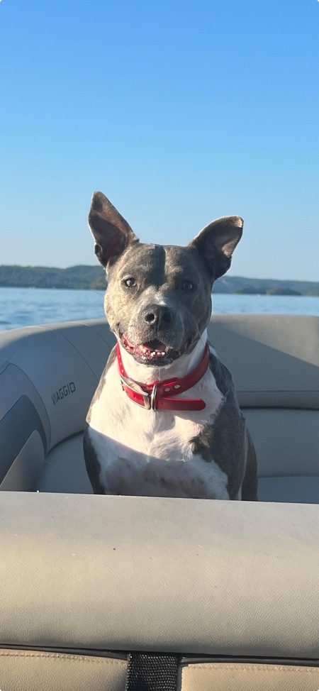 Coco
