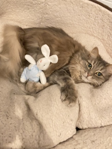 Lulu
