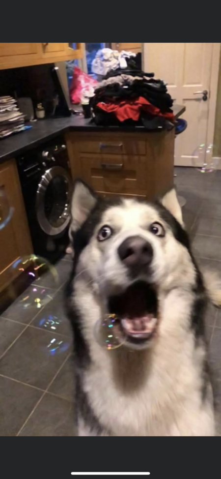 Loki