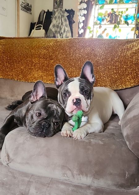 Romeo Mateo & Oakley 