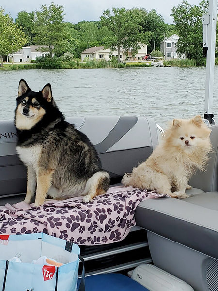 Sammie & MIllie