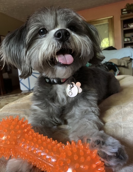 Izzy