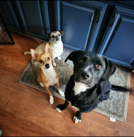Martha Mae ("Noodle"), Ernie and Dawson Carey