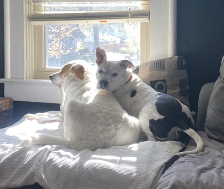 Hank and Zelda