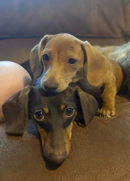Lucy & Linus