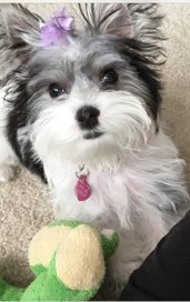 Millie