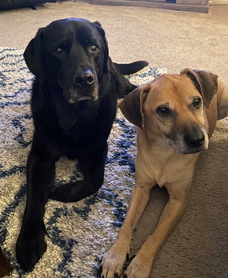 Ralphie and Tracer