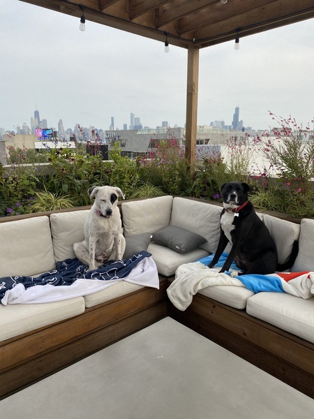 Dagny and Milton