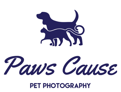 Paws Cause Pet Photography