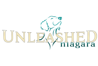 https://unleashedniagara.com/