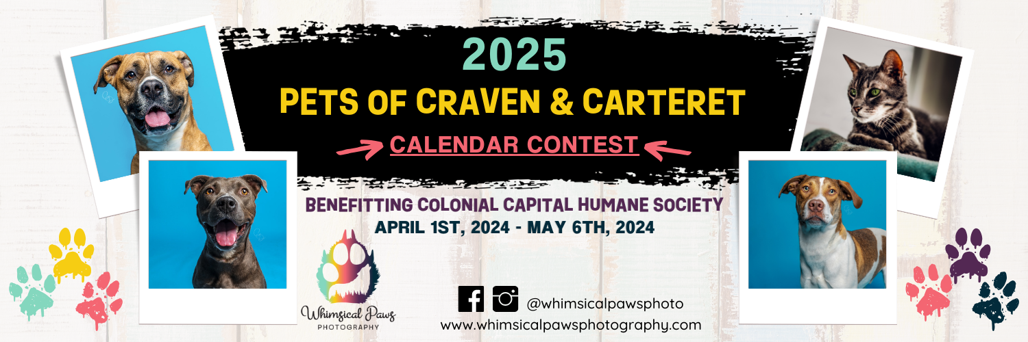 Humane Society Calendar 2025