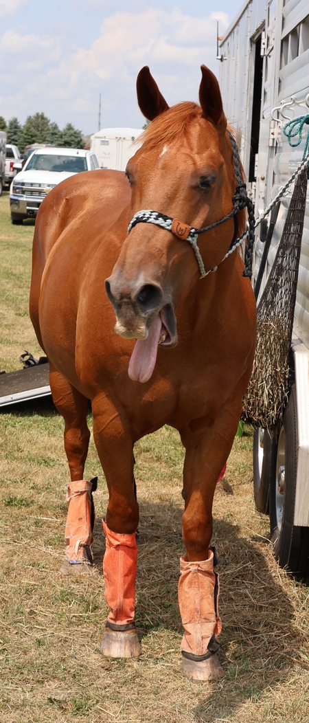 Say Ahh!