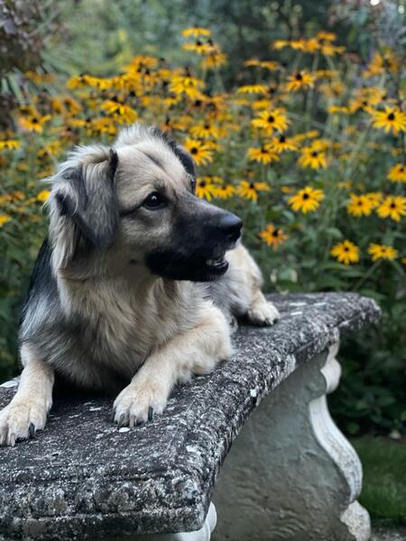 Abby